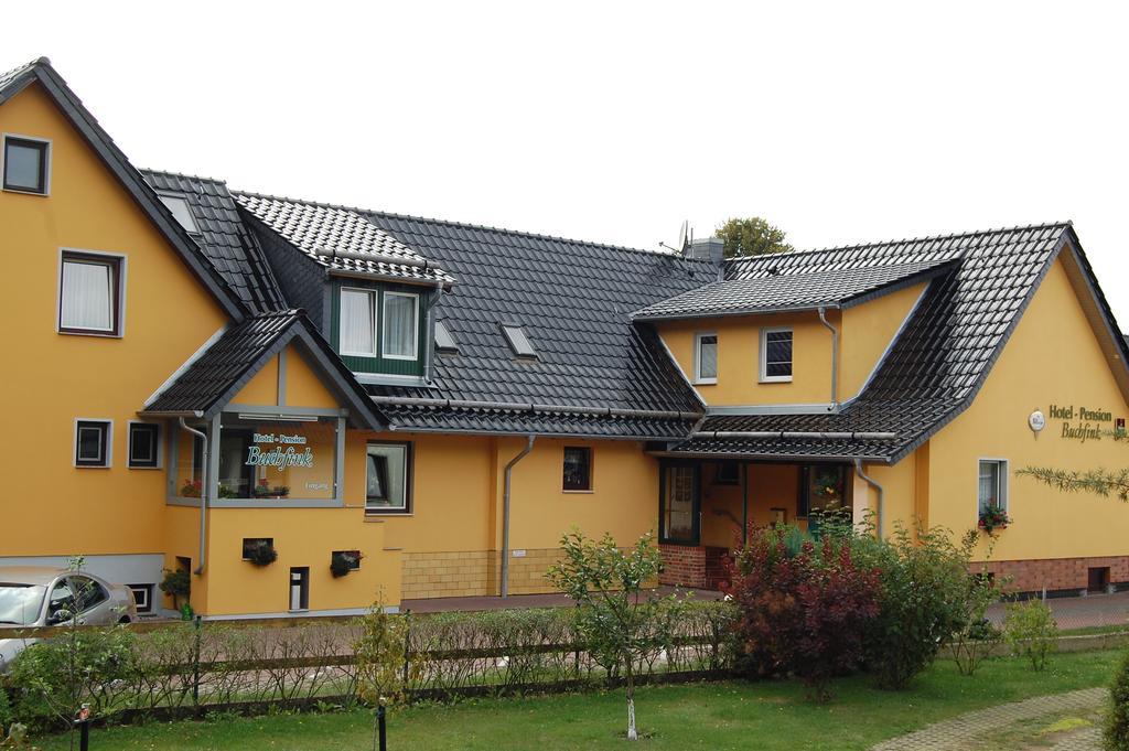 Pension Buchfink Uckeritz Exteriér fotografie