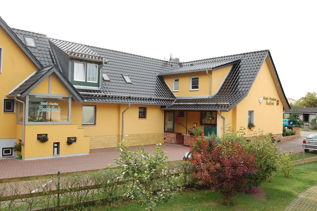 Pension Buchfink Uckeritz Exteriér fotografie